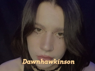 Dawnhawkinson