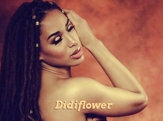 Didiflower