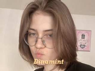 Dinamint