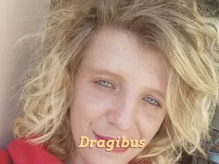 Dragibus