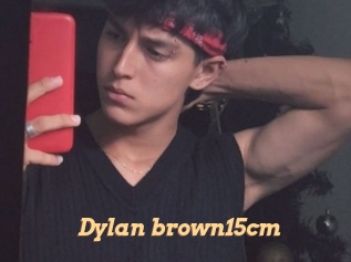 Dylan_brown15cm