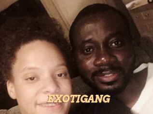 EXOTIGANG