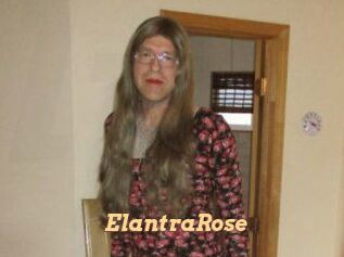 Elantra_Rose