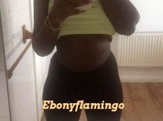 Ebony_flamingo