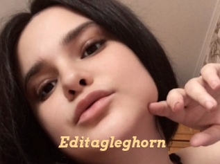 Editagleghorn