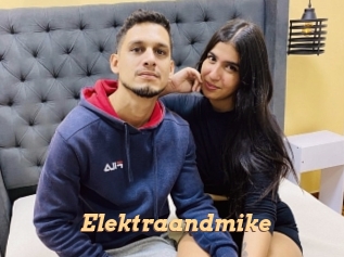 Elektraandmike