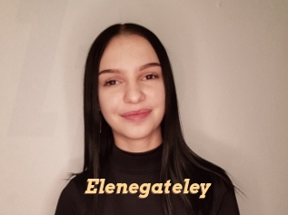 Elenegateley