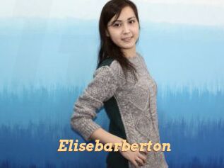 Elisebarberton