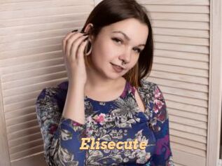 Elisecute