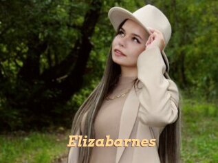Elizabarnes