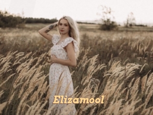 Elizamool