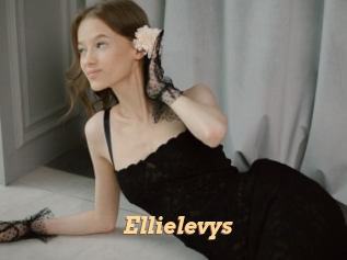 Ellielevys