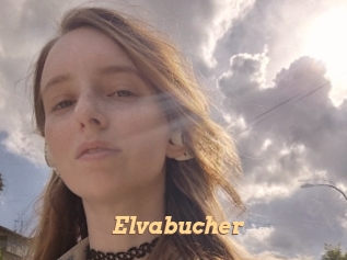 Elvabucher