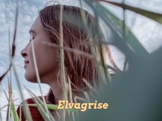 Elvagrise
