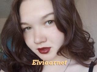 Elviaarnet