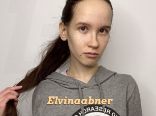 Elvinaabner