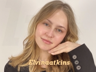 Elvinaatkins