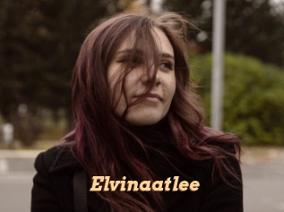 Elvinaatlee