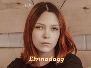 Elvinadagg