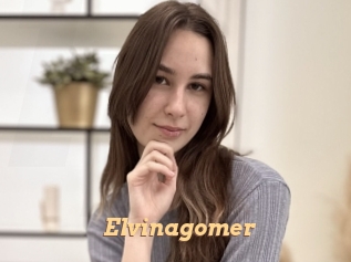 Elvinagomer