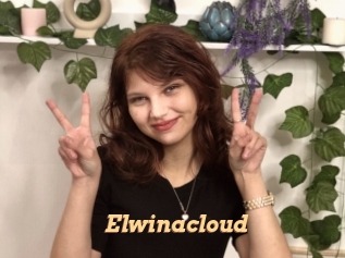 Elwinacloud