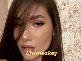 Elwineakey