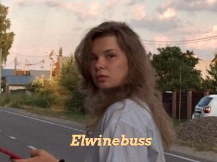 Elwinebuss