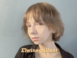 Elwinegallant