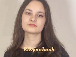 Elwynabach