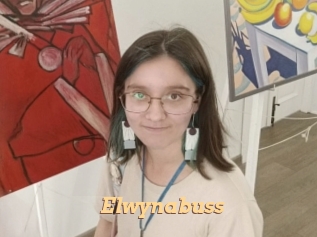 Elwynabuss
