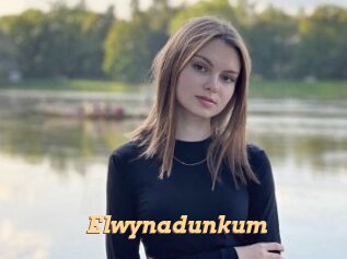 Elwynadunkum