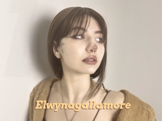 Elwynagallamore