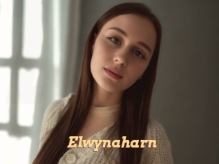 elwynaharn Live Paradise