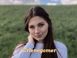 Erlenegomer