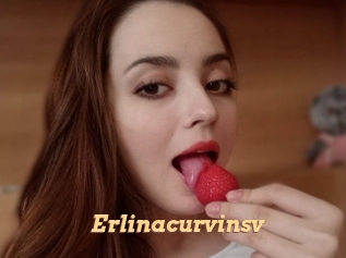 Erlinacurvinsv