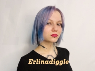 Erlinadiggle