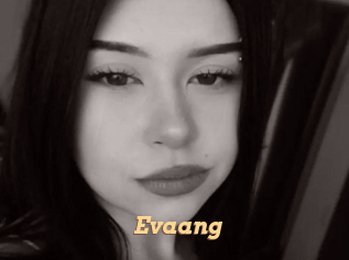 evaang Live Paradise