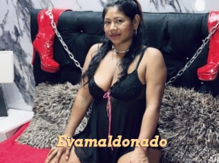 evamaldonado Live Paradise