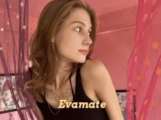 Evamate