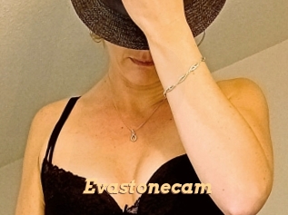 Evastonecam