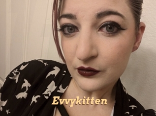 Evvykitten
