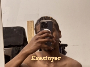 Exesinyer