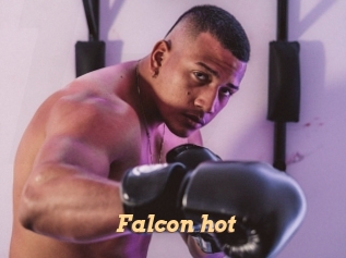 Falcon_hot