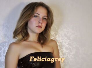 Feliciagrey