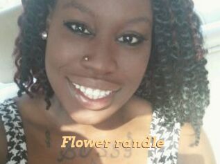 Flower_randle