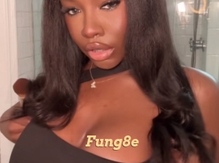 Fung8e