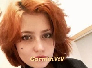 GarminViV