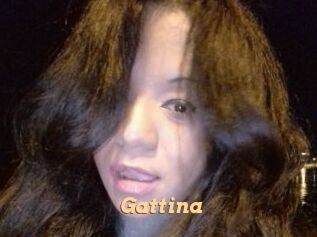 Gattina