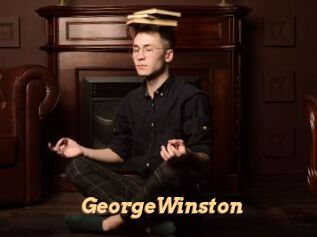 GeorgeWinston Live Paradise