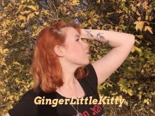 GingerLittleKitty
